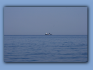 IMG_1504.jpg