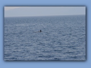 IMG_1585.jpg