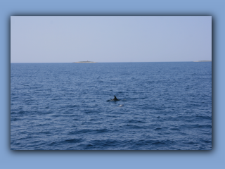 IMG_1593.jpg