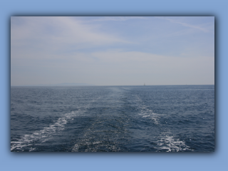 IMG_2262.jpg