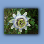 DSC03402.jpg