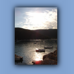 DSC03420.jpg