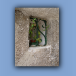 DSC03623.jpg