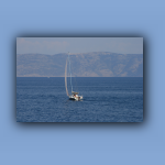 IMG_6179.jpg
