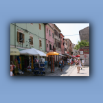 IMG_6442.jpg