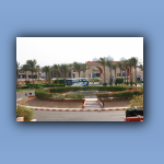 IMG_7257.jpg