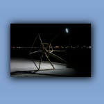 IMG_7347.jpg