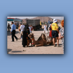 IMG_7390.jpg