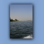 IMG_7503.jpg