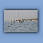 IMG_7505.jpg