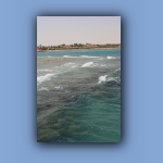 IMG_7572.jpg