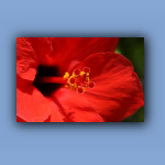 IMG_7753.jpg