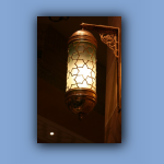 IMG_7883.jpg