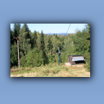 IMG_7043.jpg
