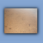 DSC03152.jpg