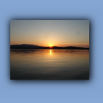 DSC03176.jpg